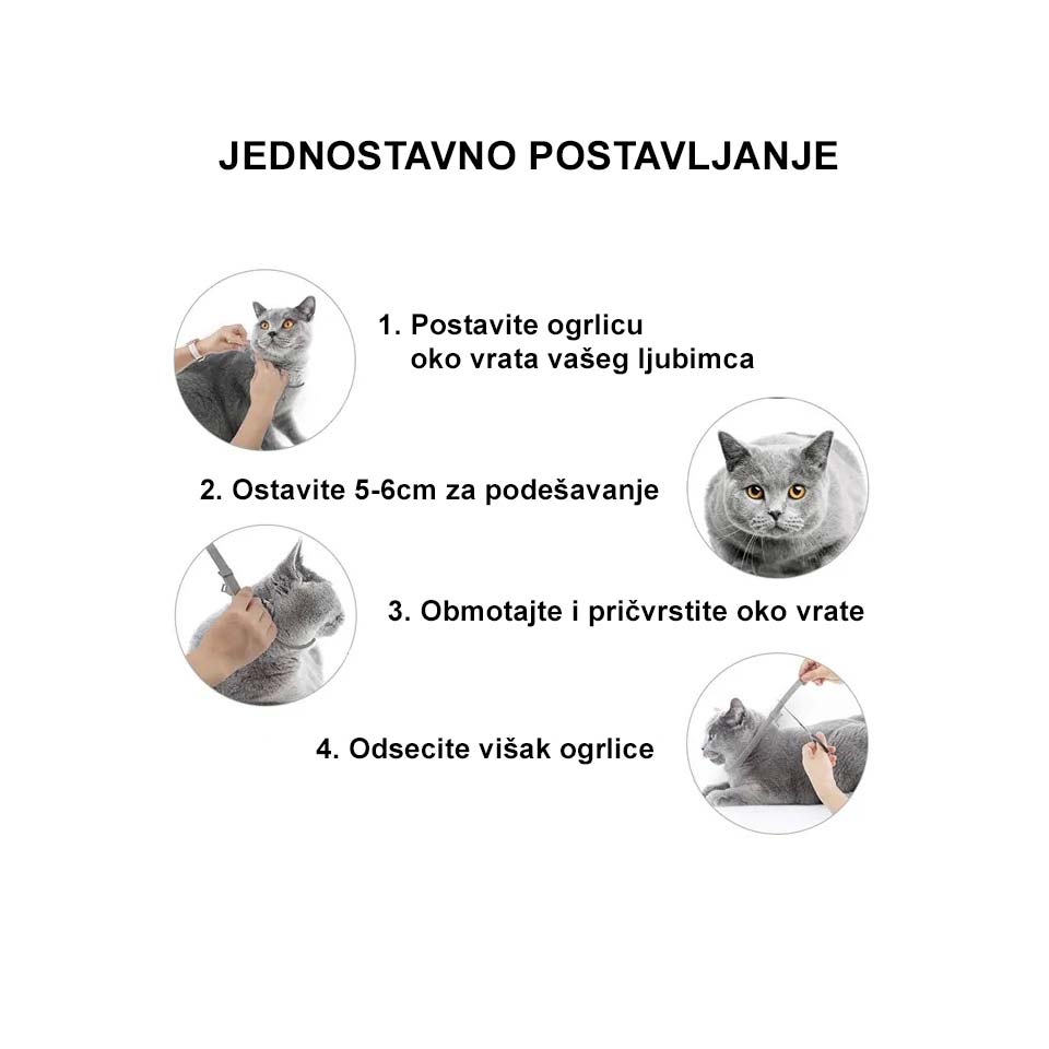 Ogrlica protiv buva, krpelja i komaraca za pse. Kako se postavlja